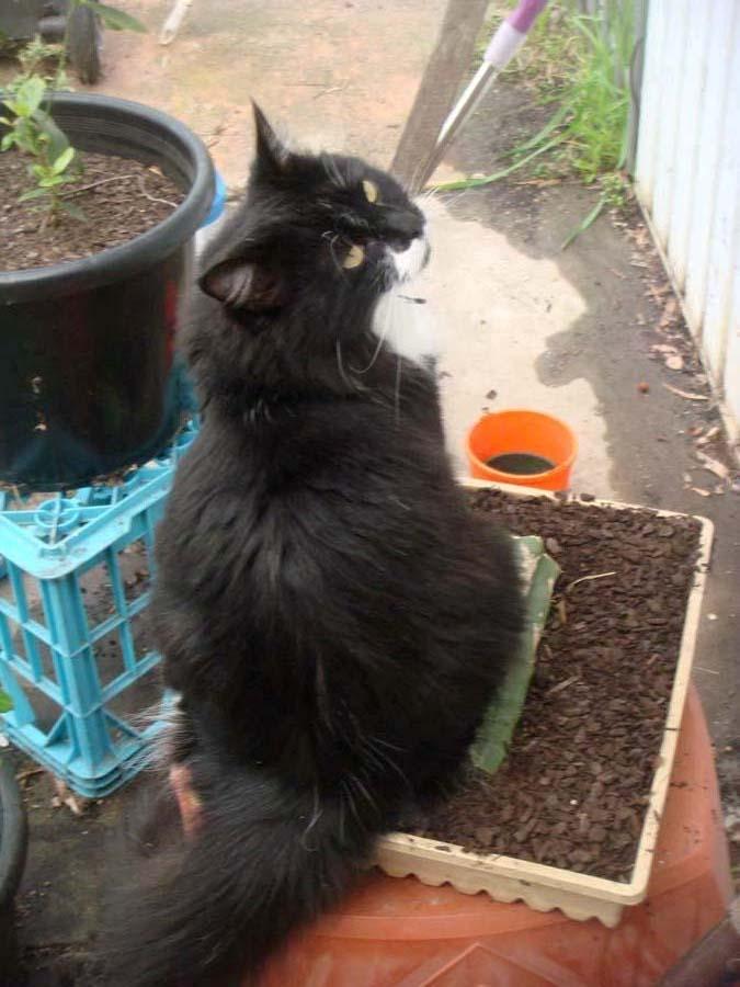 'socket' likes sharxx's cutting 