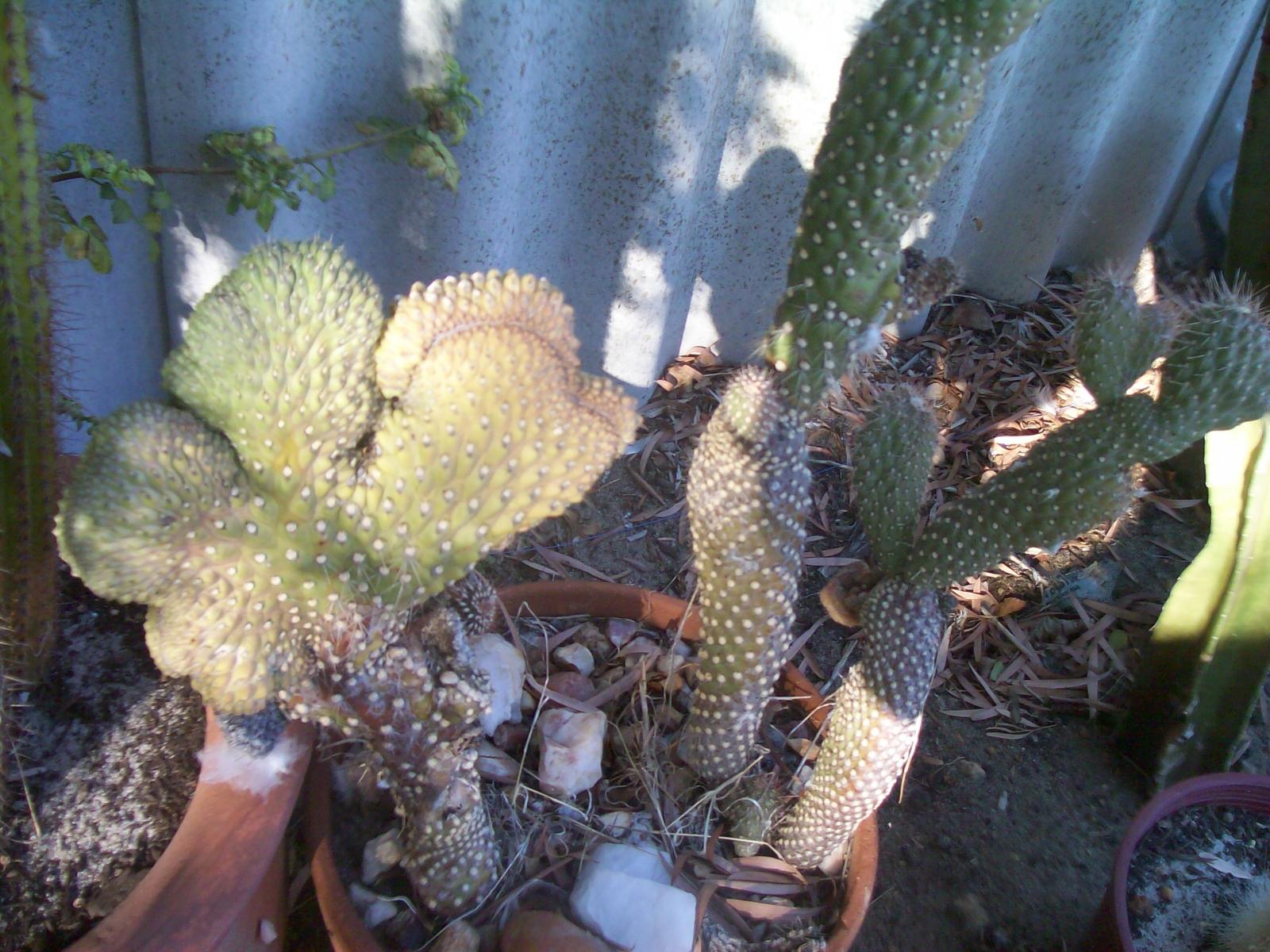 any ideas on this one?