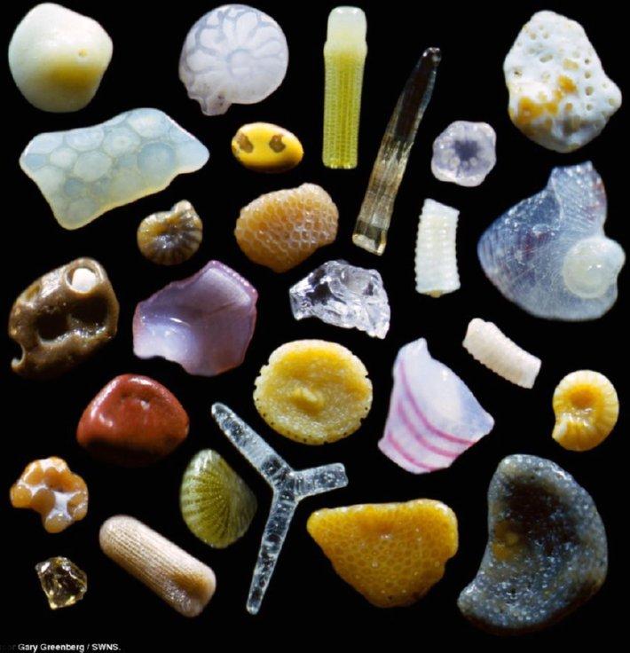 grains of sand magnified