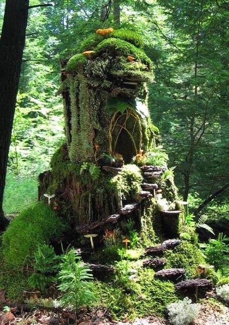 moss fairy house