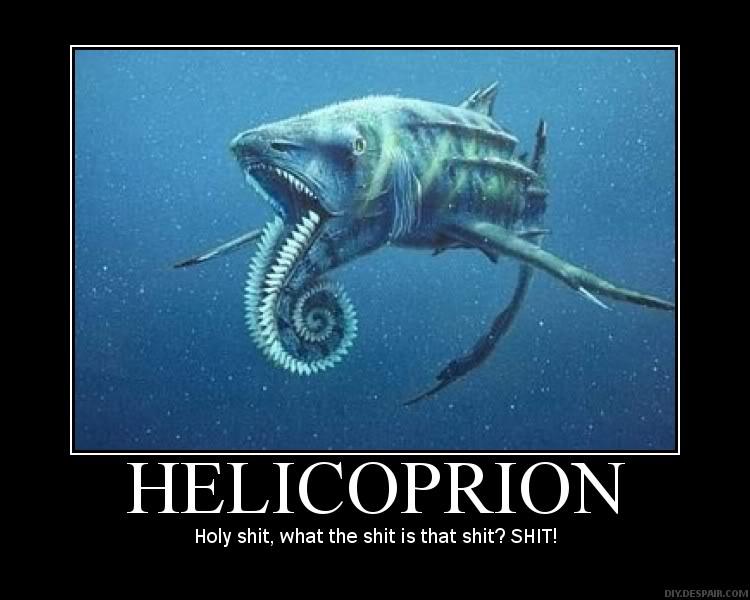 helicoprion-motivational.jpg