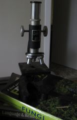 More information about "Stuff"