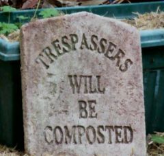 mmm...compost