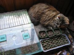 Bog's new favourite spot on the heatpad