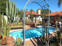 Mike's Garden