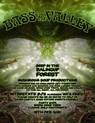 Bass in the Valley 2012