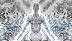 Transcendit Illusionem - Detail 1