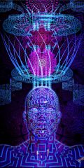 More information about "Timewave Zero"