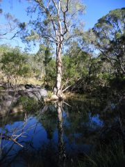 Dee river waterhole