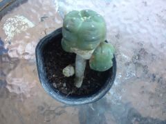 More information about "IMG 0791"