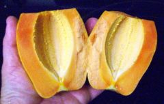 papaya fruit 2