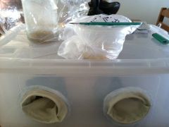 Cheapō Glove Box for plant tissue culture.