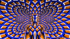 Hiding in a fifth-dimensional hallway