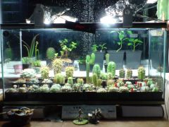 Spring clean may 2014