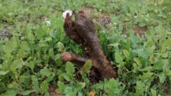 IMG 20140614 170543846