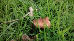 IMG 20140614 170500466