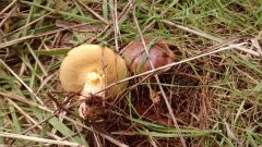 IMG 20140613 135216092