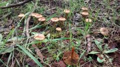 IMG 20140613 140837732