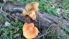 IMG 20140614 170043545