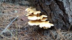 IMG 20140613 153656700