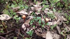 IMG 20140614 170319137