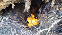 IMG 20140613 153608254