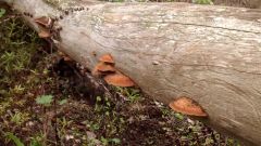 IMG 20140614 170216682