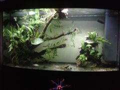 2015 09 27 01.14.22 Freedom is born