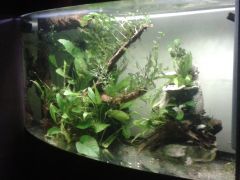 2015 09 25 01.24.31 Freedom at last