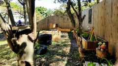 My Small Suburban Oasis :)