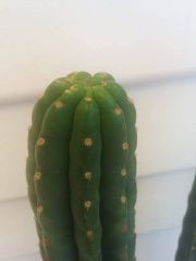 10867056 10202123667533627 1954651353 N