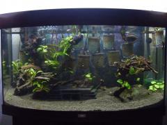 New scape for now but must remove deathtrap cave