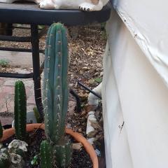 IMG_20190403_113829_872.jpg
