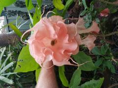 20181021_181411.jpg
