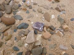 More information about "P1000132.JPG"