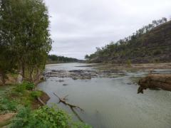 More information about "P1000136.JPG"